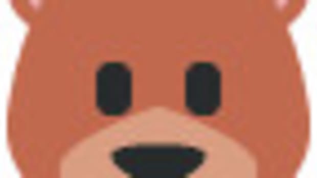 🐻